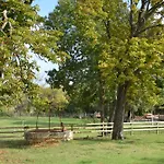 Domaine Du Mas Du Pont *