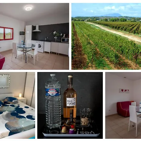 Holiday home Domaine Du Mas Du Pont *