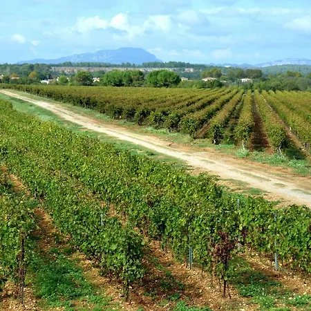 Domaine Du Mas Du Pont *