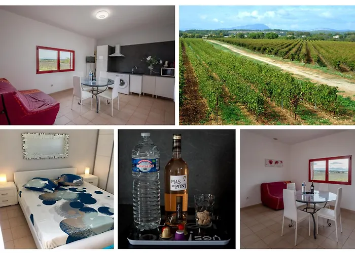 Casa de Férias Domaine Du Mas Du Pont *